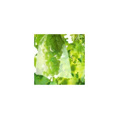Lot de 100 sacs de protection fruits 30 x 20 cm – Filets antioiseaux et insectes – Organza haute densité pour raisins et légumes  100pcs