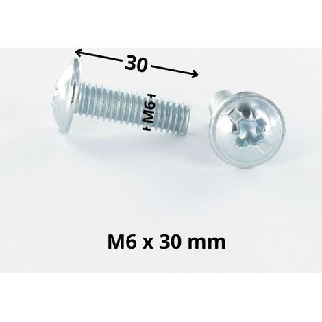 Vis Poelier POZI et fendu M6X30 Acier zingué-400 pièces (1/2)