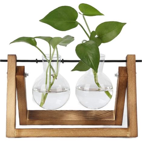 Jeffergarden Terrarium de plantes avec support en bois, Vase en verre, jardinière de bureau pour la décoration de la maison et du bureau (cadre en bois, 2 bouteilles) (1/5)