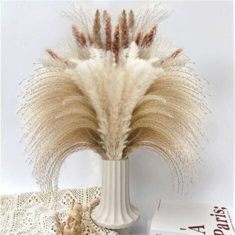 Décoration d'herbe de Pampa séchée, 90 PCS d'herbe de Pampa Contenant des Fleurs séchées de Queue de Lapin, Bouquet d'herbe de Roseau pour décoration de Table bohème de Mariage à la Maison (1/4)