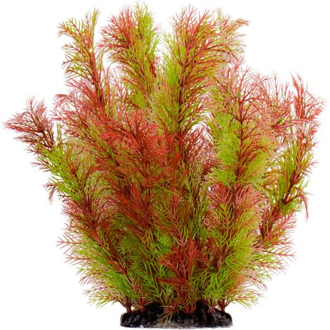 Pianta artificiale Kruger Meier - Riverweed (1/5)