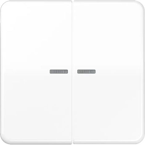 Jung Wippe 2fach, mit Lichtleiter, Duroplast, Serie CD, alpinweiß CD 595 KO5 WW (1/2)