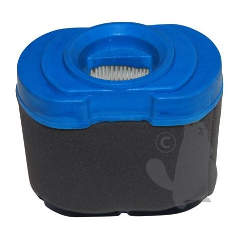 Filtre à air moteur Briggs et Stratton bicylindre - 792105, 593240