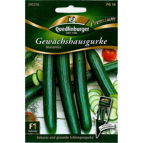 Quedlinburger Gewächshausgurke Marumba - Gemüsesamen (1/2)