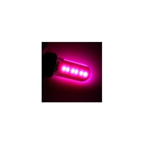 LED-Glühbirnen für Standlicht, T10 W5W, COB mit 12 Kernen, 12V, Lila, Canbus - fehlerfrei (ohne Fehlermeldung)