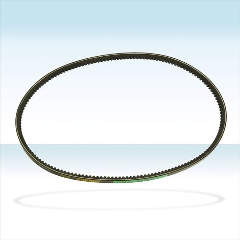 Keilriemen AV13x930LI für 67959 - 67966 Schlegelmulcher Mulcher Schlegelmähwerk (1/2)