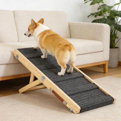 Folding Wooden Dog Ramp (1/5)