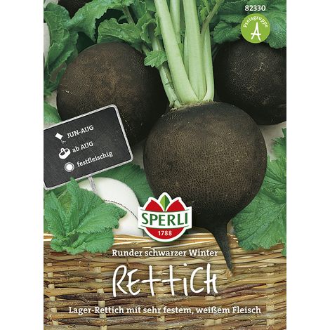 Sperli Rettich Runder Schwarzer Winter - Gemüsesamen (1/2)