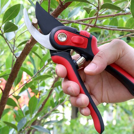 Gartenschere aus SK-5-Legierungsstahl für Obst und Bonsai, scharfe Klingen, komfortables Schneidwerkzeug (1/2)