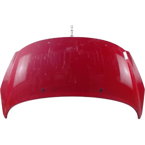 [PRODUIT D'OCCASION] Capot PEUGEOT 207 3p ♻️ Ref Oe. 7901n2 - Garantie à vie (1/4)