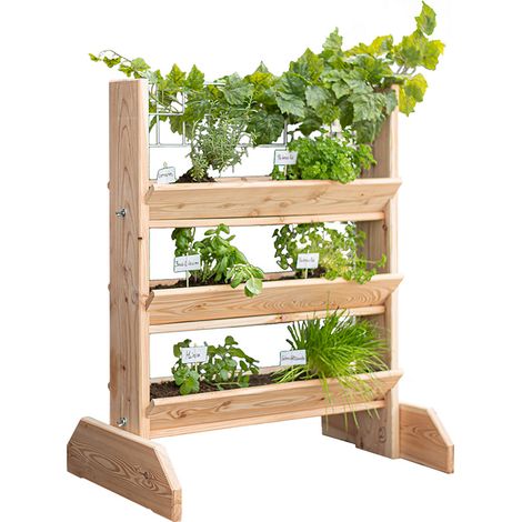 Westmann Étagère à herbes aromatiques en mélèze avec treillis Viktoria L Nature 50x80x95 cm (1/5)