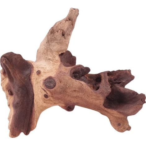 M Mopani Wurzel Nr.4789 Holz Deko Aquascaping