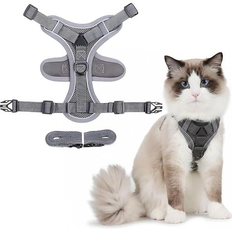 Harnais Chat Anti-Évasion Réglable Ensemble Harnais et Laisse pour Chats avec Bandes Réfléchissantes Gris, L (1/5)