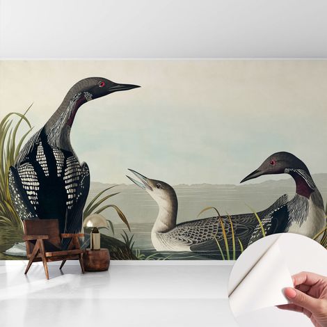 Fototapete Selbstklebend - Wandtattoo - leicht anzubringen - Wandverkleidung Vögel am Wasser 416x254 cm (1/5)