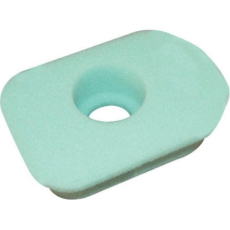 Filtre à air Briggs & Stratton - 270579