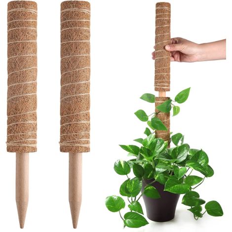 Tuteur en mousse pour plantes Monstera, support extensible pour plantes, tuteurs pour plantes d'intérieur en pot, 40 cm (1/5)