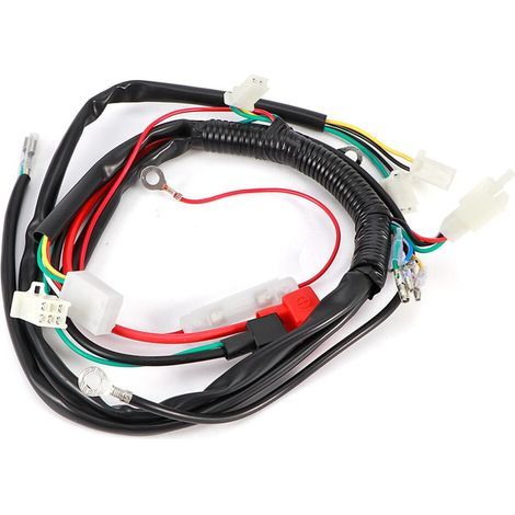 Faisceau de câblage moteur universel pour petites motos de 70 à 125 cm3 (1/5)