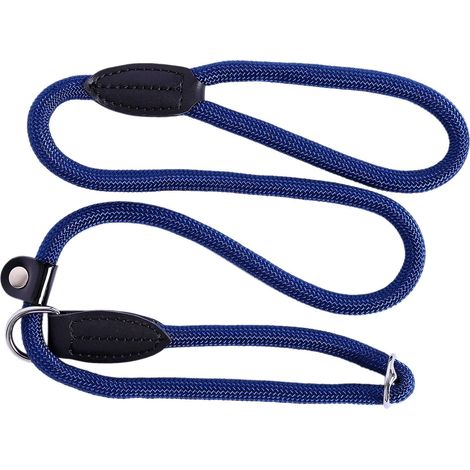 lionto Guinzaglio Retriever Guinzaglio per Cani Guinzaglio Formazione Cani, Lunghezza 120 cm Blu (1/5)