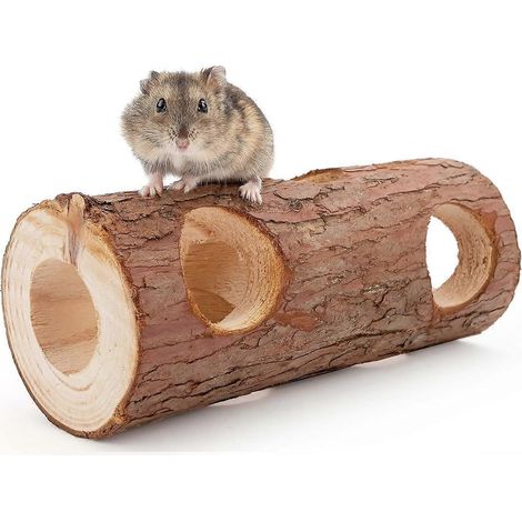 Tunnel en bois naturel pour hamster, jouet tubulaire pour la forêt, tronc d'arbre creux (1/5)