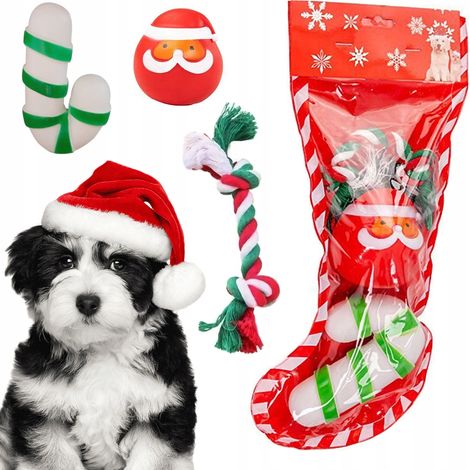 Weihnachtliches Set für Hunde 1 (100) GABA (1/5)