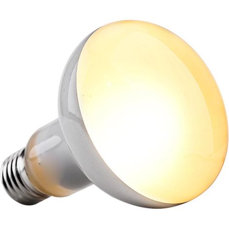 Heat Bulbs for Reptiles with Universal E27 Base (100W) (1/5)