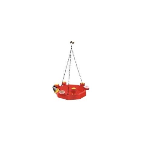 Abreuvoir Oiseaux Exterieur à Suspendre, Bains pour Oiseaux Sauvages, Baignoire Oiseaux Jardin, Bain d'oiseaux pour Jardin Suspendu Mangeoires Plastique Perchoir Oiseaux Canaris Colibri (A) (1/5)