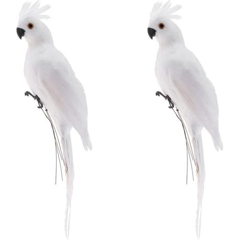 morceaux de mousse de plumes de perroquet de 35 cm pour