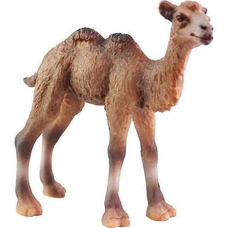 Figurine de chameau réaliste, modèle animal sauvage, jouet pour enfants, décoration de bureau créative, objet de collection, cadeau artisanal-M