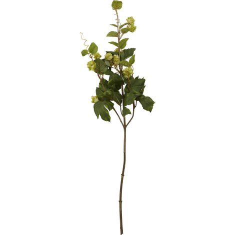 Interiors by Premier Elegant 88CM Pale Lime Hops, Versatile Artificial Flower Foliage, Sustainable And Easily Maintained Hops (1/5)