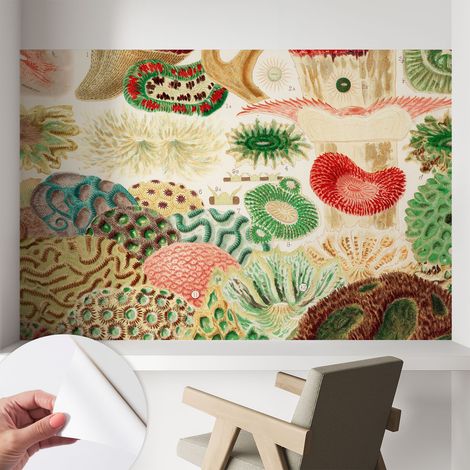 Papier peint adhésif autocollant pour salon chambre à coucher peint imprimé pour mur Formes organiques 104x70 cm (1/5)