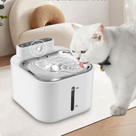 Fontaine À Eau Pour Chat Et Chien - 4 L - Détecteur De Mouvement - Batterie Intégrée 4000 mAh - Sans Fil - Filtre À Charbon Actif (1/4)