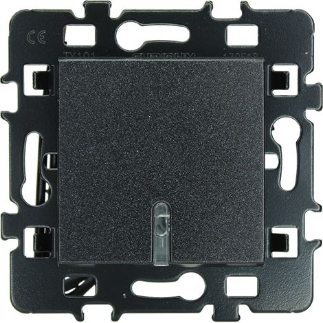 Interrupteur va et vient Lumineux Anthracite (61903R) (1/2)
