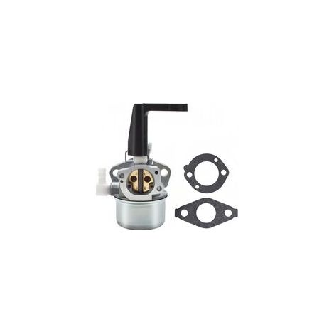 Kit de remplacement du carburateur avec joints pour moteurs Briggs & Stratton (1/4)