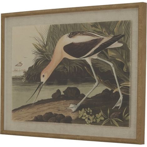 Flora & Fauna Collection Avocet on Linen in Beaded Frame - Glass - L2 x W62 x H45 cm - Brown