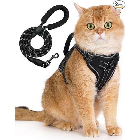 Cat Kitten Harness with Leash, Cat Harness and Lead Set, Anti-Escape Safety Vest Harness Cha/t with Reflective Strips, Adjustable Walking Harnai/s for Kitten Puppies (S)