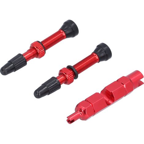tubeless 1 6 pouce type français en laiton détachable pour (1/5)