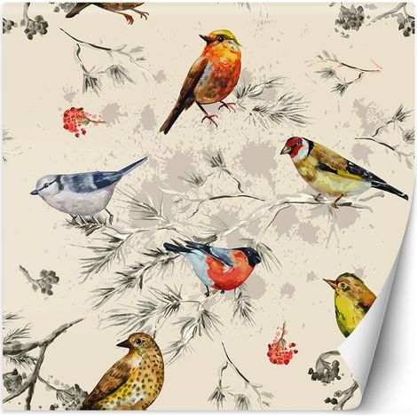 Papier peint Oiseaux multicolores peints à l'aquarelle 300x300 (1/5)