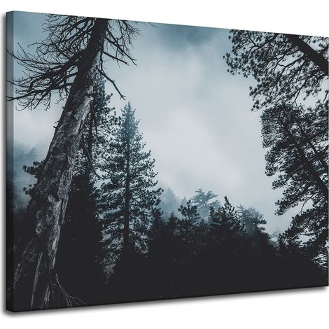 Leinwanddruck Natur Baumkronen 100x80 cm