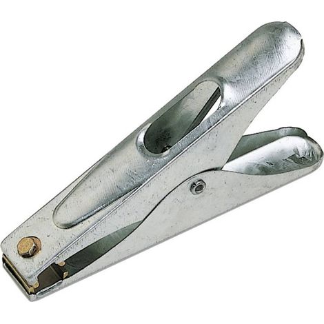 Pince de masse en acier inoxydable Lorch 200A C55666 (1/2)