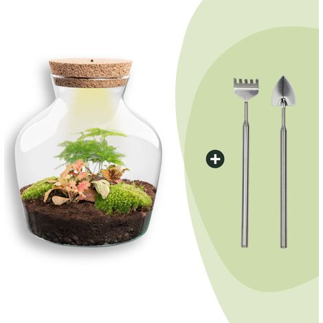 Terrarium DIY avec Lumière Écosystème Autonome et Outils Ø 20 x 21,5 cm - PANGIVO (1/2)