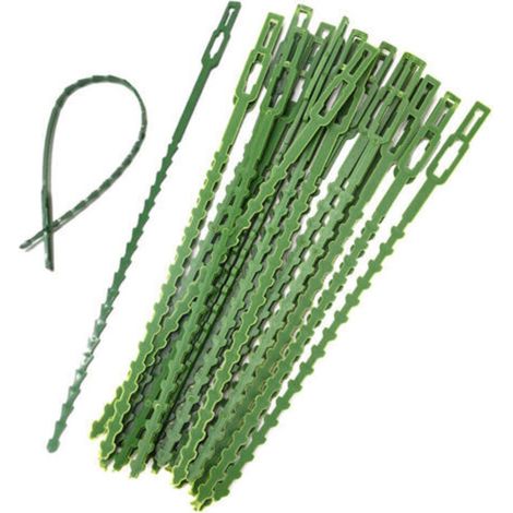 Lot de 150 attaches pour plantes réglables, réutilisables en plastique, de 13 cm, idéales pour soutenir les plantes de jardin. (1/5)