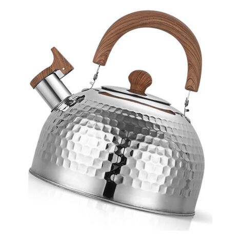 FENOPLASTICABouilloire en acier inoxydable avec sifflet, grande capacité, fond plat, compatible avec les plaques de cuisson à gaz et à induction. (1/4)