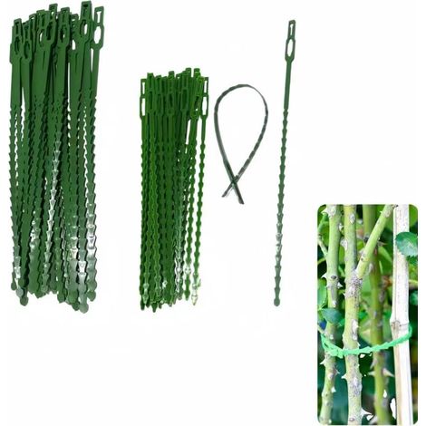 100 Pièces Attache de Plante Réglable pour Jardinage,Lien de Soutien pour Plantes et Arbustes,Tiges et Arbres,en Plastique Flexible(17x13cm) (1/5)
