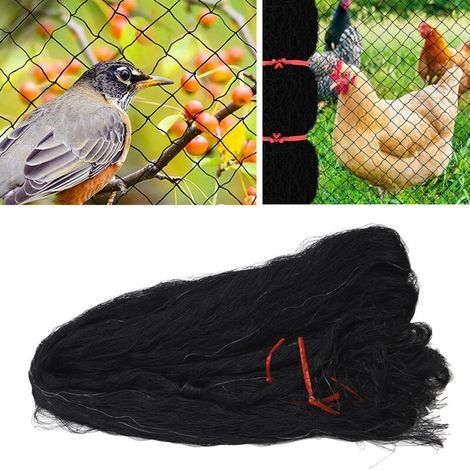 Filet de Protection Léger et Réutilisable contre les Oiseaux – Protection pour Arbres Fruitiers, Cerfs, Poulets, Canards et Chiens, Espacement des Mailles 2,5 cm (1/5)