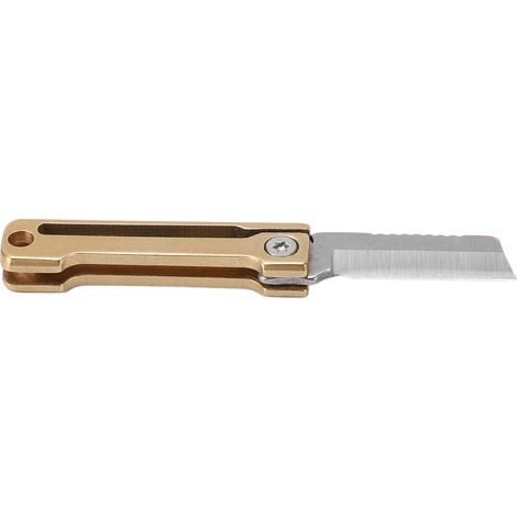 Couteau de Poche Multifonction avec Porte-Clés - Idéal pour Randonnée, Camping et Survie