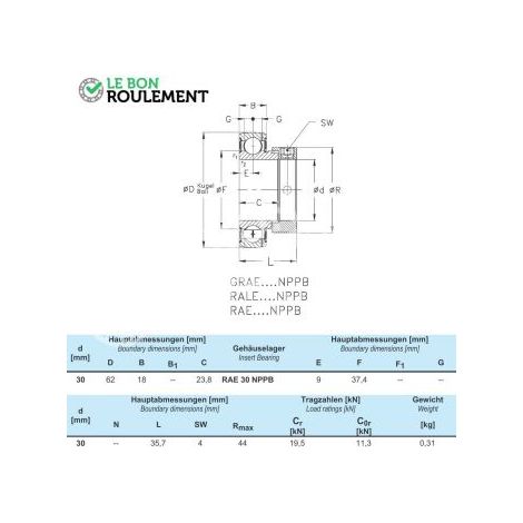 Roulement de palier RAE30-NPP-NKE