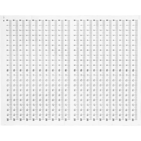 Règle Adhésive Auto-adhésive Blanche en Pvc 20 Pièces Mesure Autocollante, Plastique à Forte Adhérence, Format à Coller pour Établi (1/5)