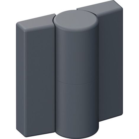 Charnière DIN li.H.52mm L.47mm PA avec insert en métal anthracite (1/3)