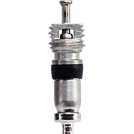 Obus de valve REMA TIP TOP 5620045 (1/4)