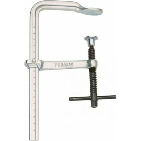 Vite di serraggio TURNUS, interamente in acciaio, 500x120 mm, guida 25x12 mm, maniglia a T (1/2)